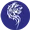 زاپیروس