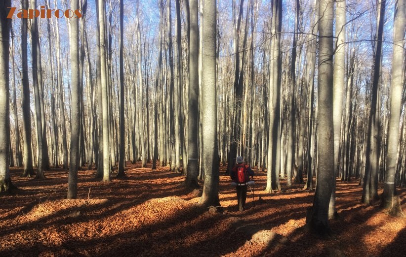 تماشایی‌ترین مکان‌های ایران برای گذراندن شب یلدا