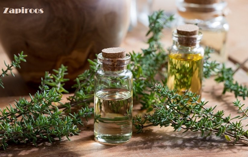 ۱۶ مورد از خواص آویشن برای سلامتی که از نظر علمی ثابت شده‌اند